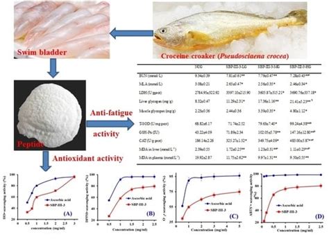 Anti-Fatigue Effect by Peptide Fraction from Protein Hydrolysate of ...