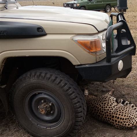 SHANJOY TOURS & SAFARIS (2026) All You Need to Know BEFORE You Go (with ...