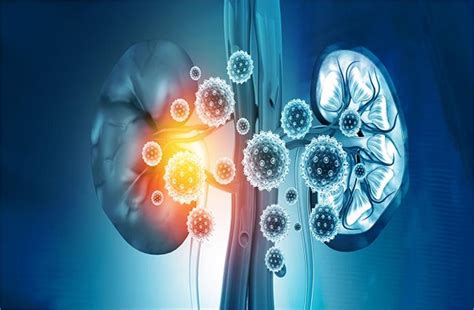 Kidney Damage: सावधान! किडनी डैमेज होने पर पैरों में दिखते हैं ये लक्षण ...