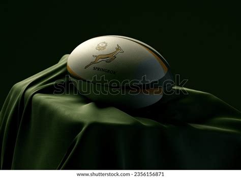 Image result for Springbok Rugby Ball