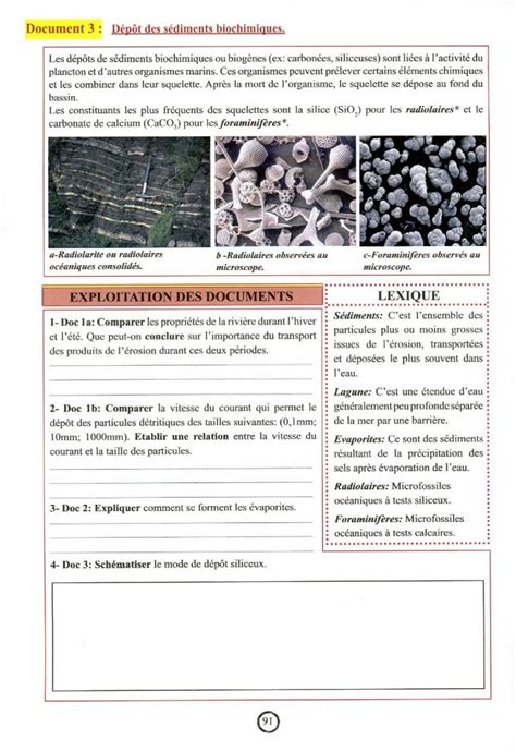 درس La formation des roches sédimentaires للسنة الأولى اعدادي | الصفحة ...