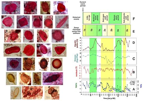 Vegetation & pollen records show climate fluctuations due to solar ...