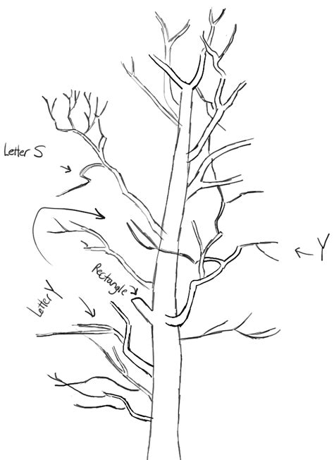 Image result for How to Draw Trees