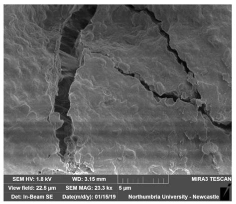 Bacterial Spore-Based Hygromorphs: A Novel Active Material with ...