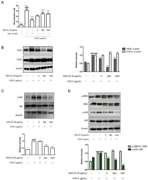 Hot-Melt Extrusion Drug Delivery System-Formulated Haematococcus ...