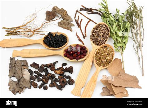 Chinese Herbal Medicine 的图像结果