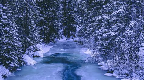 Wallpaper forest, winter, river, snow, ice, trees hd, picture, image