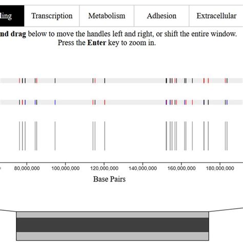 Image result for Gene Expression Map
