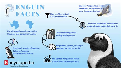 Facts about Penguin | Encyclopedia MDPI