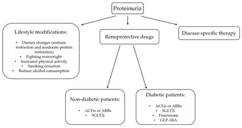 Proteinuria and Progression of Renal Damage: The Main Pathogenetic ...