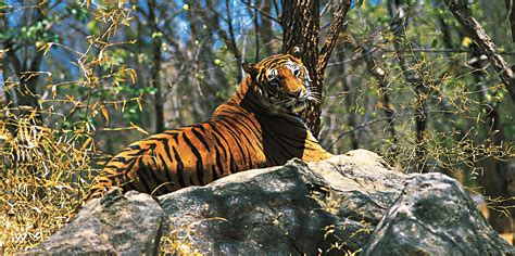Photography Walk at Periyar Tiger Reserve, Thekkady - Experience Kerala