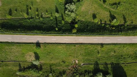 Vista aérea da estrada verde da floresta de verão de cima | Foto Premium