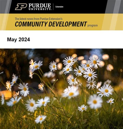 Image result for Community Development Extension