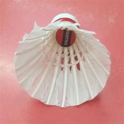 ShuttleCock 的图像结果