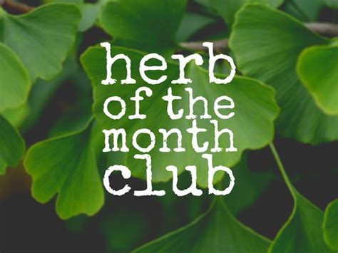 Herb of the Month Club - Learn, Grow & Create with Judith , Tree of ...