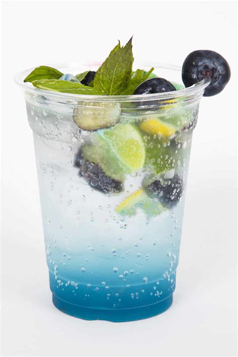 Blueberry, Mint, and Lime Mocktail - HowdyKitchen