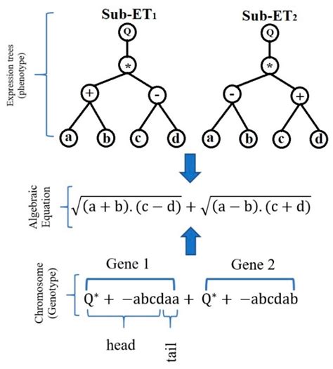 Comparative Analysis of Machine Learning Models for Prediction of ...