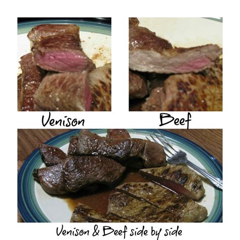 How Much Protein In Venison Vs Beef: A Quick Comparison Guide