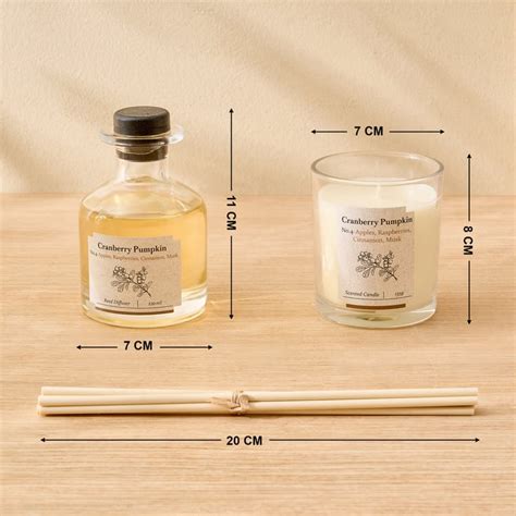 Buy Vicente Cranberry Pumpkin Reed Diffuser with Jar Candle Set from ...