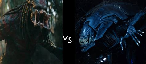 Image result for Alien Queen Alein vs.Predator