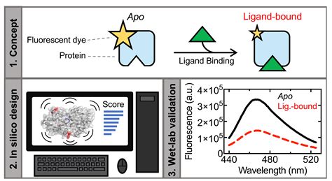 Development of a Real-Time Pectic Oligosaccharide-Detecting Biosensor ...