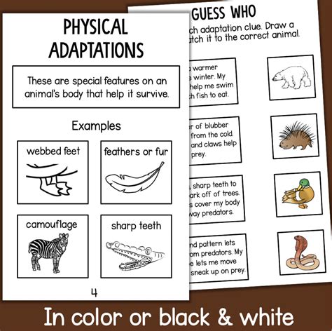 Animal Science Experiments 的图像结果