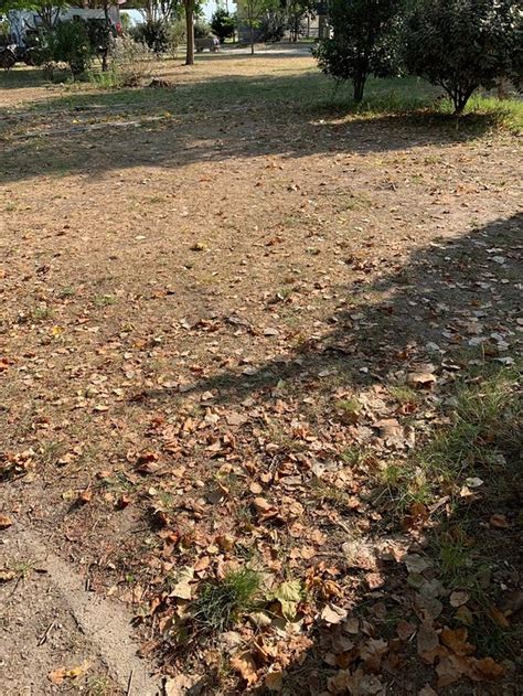 CAMPING ROUTES DU MONDE ATC LA HUME-ARCACHON (Gujan-Mestras ...