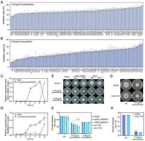 ABCC Transporter Gene MoABC-R1 Is Associated with Pyraclostrobin ...