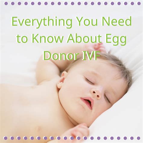 What is Egg Donor IVF and Who Needs It?