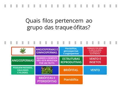 Image result for Python Parameter Extraction