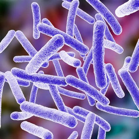 Mendelian Susceptibility to Mycobacterial Disease