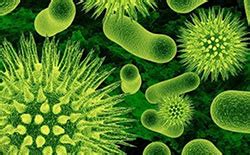 Om Research and testing Laboratory