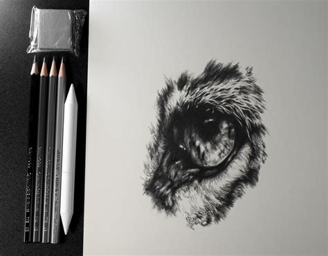 Graphite Pencil Drawing