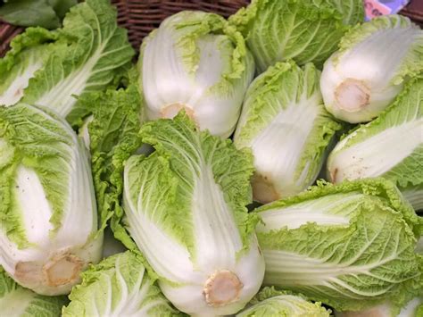 These 3 veggies can give you the right amount of protein