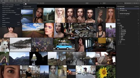 Image result for Luminar 4.2 Tutorials
