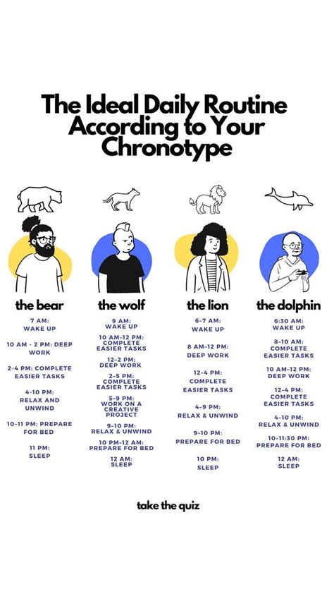 Image result for Best Daily Routine