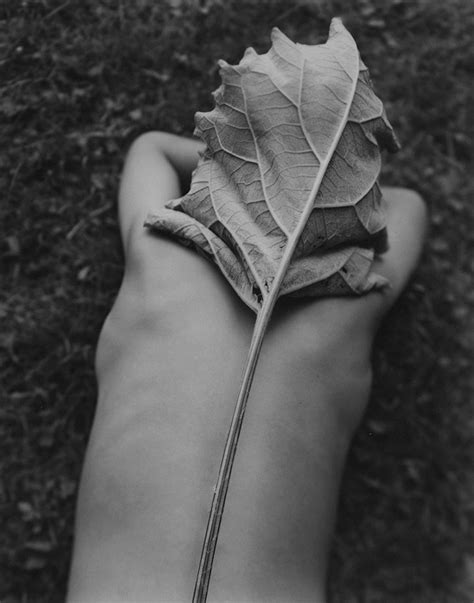 Image result for Andrea Moroder