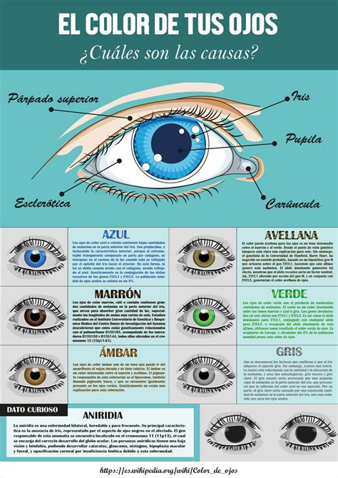 Infografía del concepto del color de ojos | Map, Map screenshot