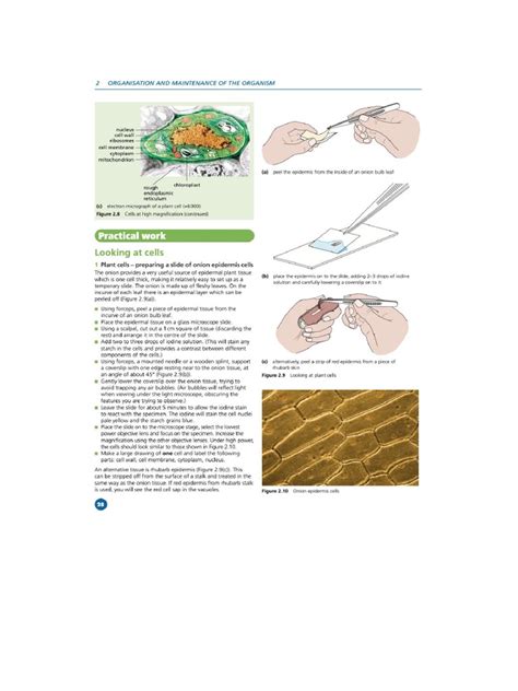 Image result for Practical Biology Experiments