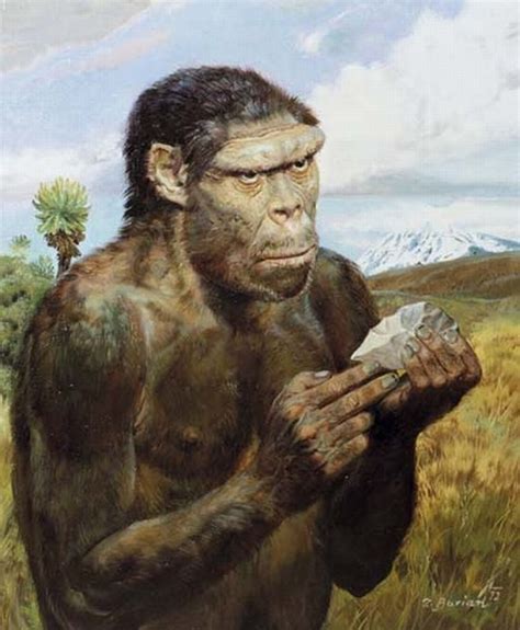 Image result for Australopithecus Meme