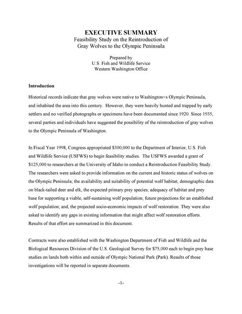 Image result for Project Feasibility Study Example