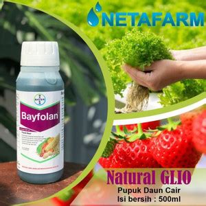 Jual Pupuk Cair Daun Lengkap BAYFOLAN Bayer 500ml - Jakarta Selatan ...