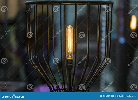 Vintage Edison Lamp, Floor Long Lamp in a Black Forged Cage Shade Stock ...