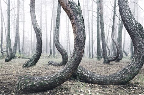 surreal locations evoke earths mysteries Blue Volcano To Crooked Forest ...
