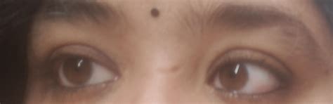 Buy Organic Harvest Midnight Kohl | Intense Black Waterproof Kajal ...