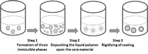 Image result for Microencapsulation Process