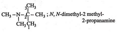 The IUPAC name for ( CH 3)2 NC ( CH 3)3 is - Tardigrade