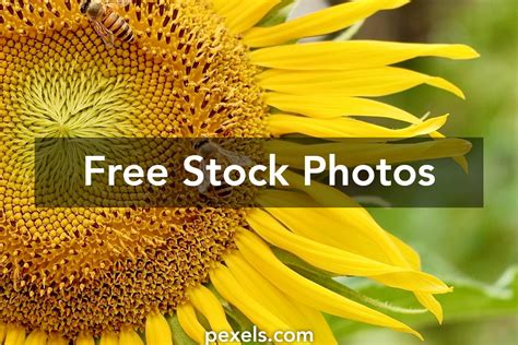 Image result for API HD Images