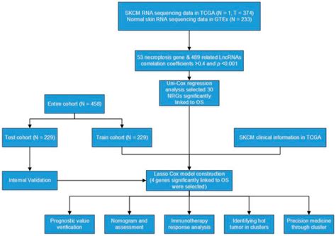Comprehensive Analysis of Necroptosis Landscape in Skin Cutaneous ...