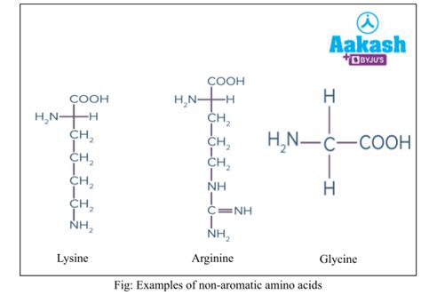 Amino Acids: Structure, Types & Isomers of Amino Acids | AESL